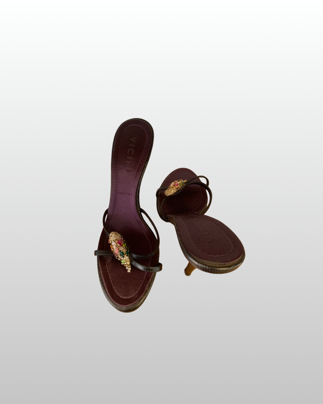 VICINI